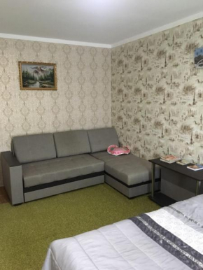 Apartment on Abazgaa 49/4